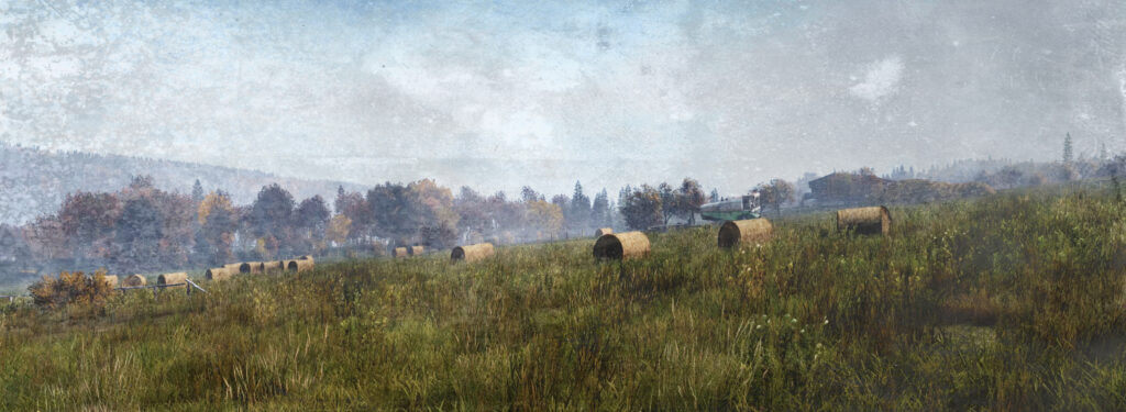 DayZ - Chernarus - Svergino Fields