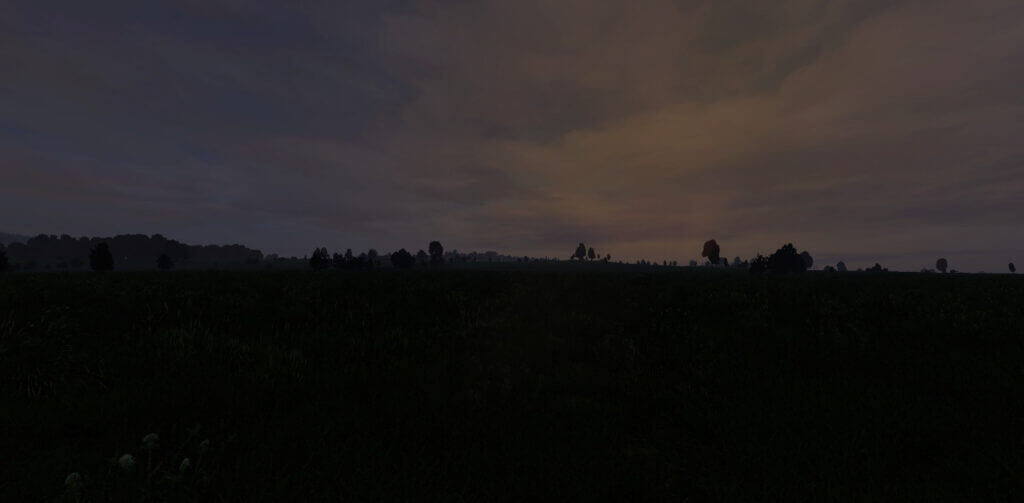 DayZ - Livonia - Dawn on the Fields