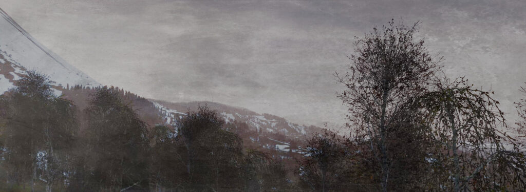 DayZ - Sakhal - Landscape